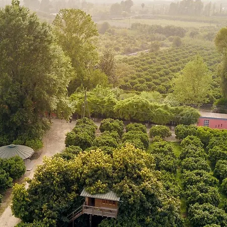 Irene's Treehouse * Kavasilas