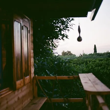 Irene's Treehouse Agroturismo *