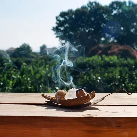 Agroturismo Irene's Treehouse Kavasilas