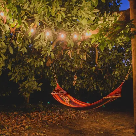 Irene's Treehouse * Kavasilas