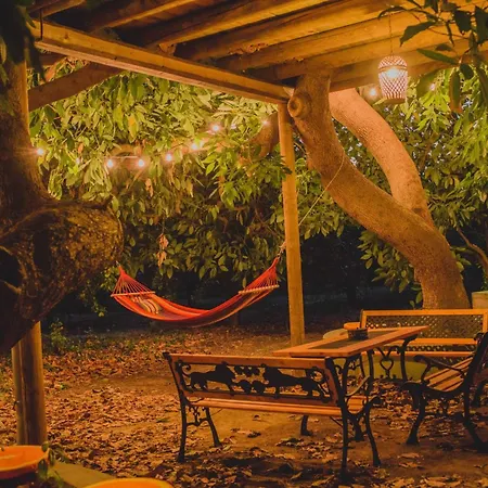 农家乐 Irene's Treehouse *